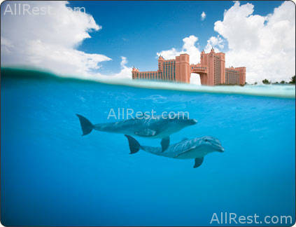 Atlantis Paradise Island Resort 51